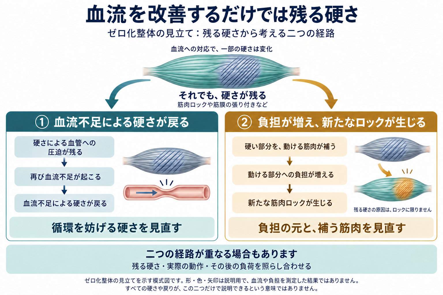 血流を改善するだけでは残る硬さから、循環と動作の二つの経路を考える図