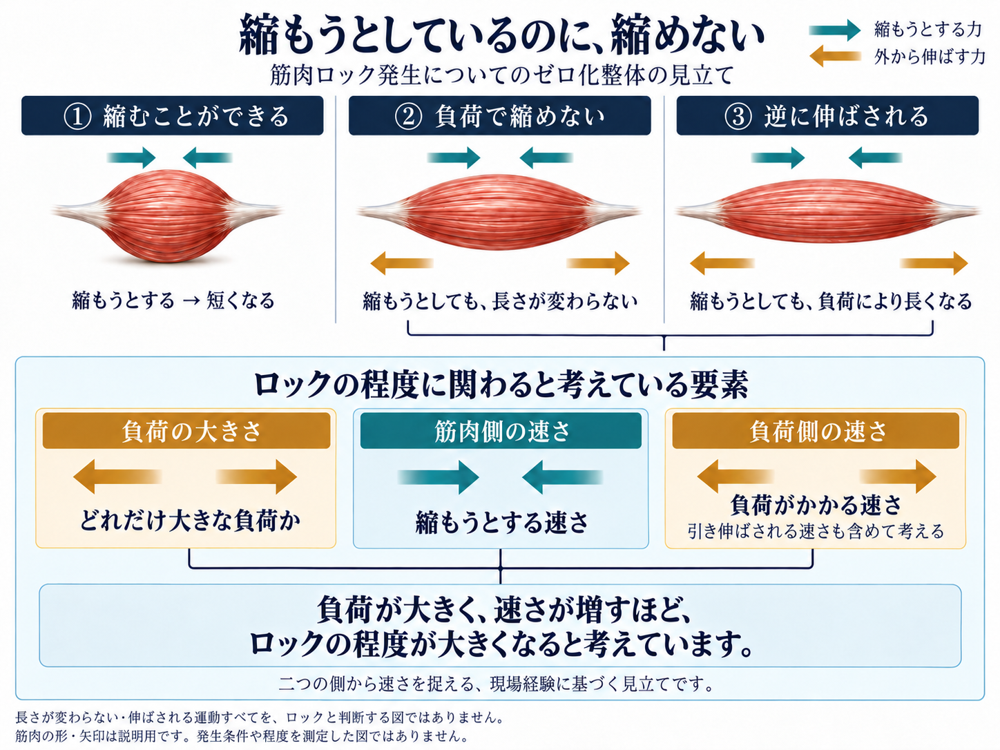縮める・縮めない・逆に伸ばされる三状態と、負荷の大きさ・筋肉側と負荷側の速さを示す図